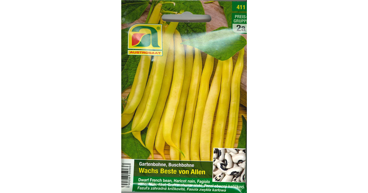 Buschbohne Wachs Beste Von Allen Phaesolus Vulgaris Wachs Beste Von