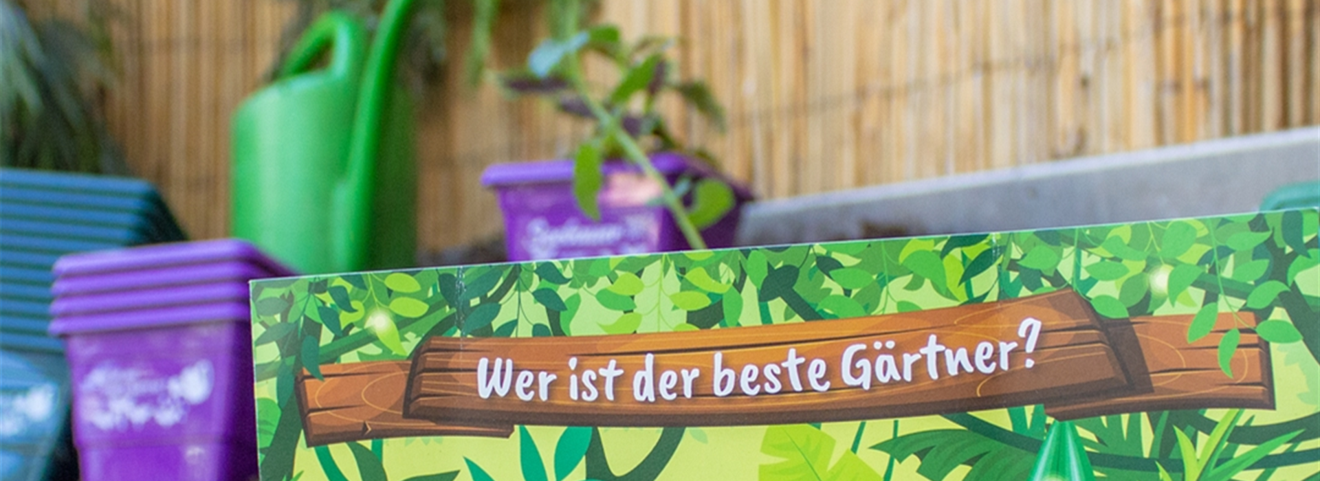 Gewinner Kinderwettbewerb - Seebauer