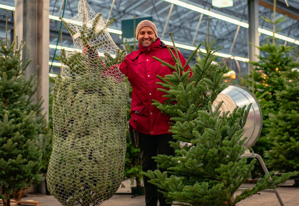 Gartencenter Seebauer_Weihnachtsbaum-Guide_1.jpeg