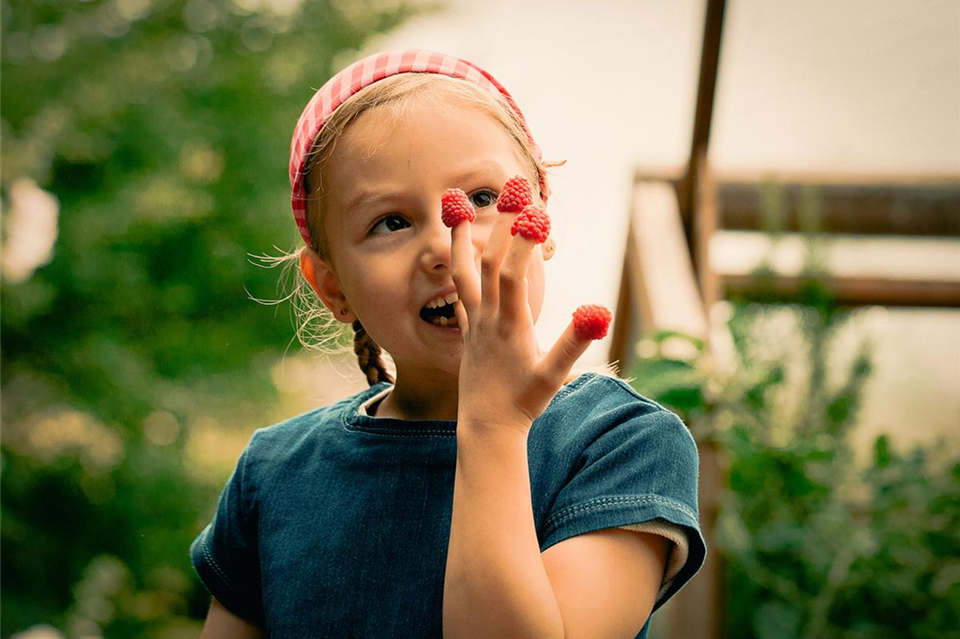 Mädchen-mit-Himbeeren.jpg