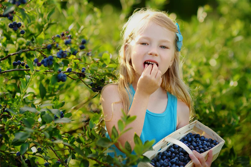 Mädchen-Kinder-ernten-im-garten_.jpg