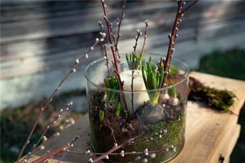 gartencenter-seebauer-shooting-feb23-frühling-fensterbank-OR-368.jpg