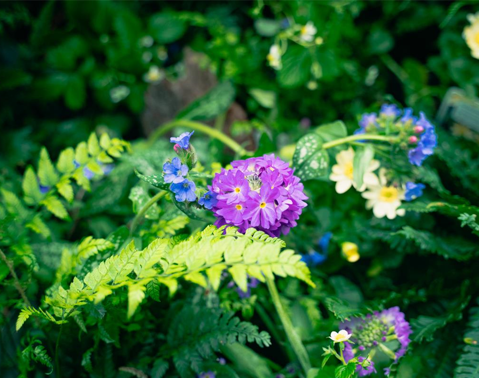 gartencenter-seebauer-shooting-april23-der-wald-zuhause-VZ-5.jpg