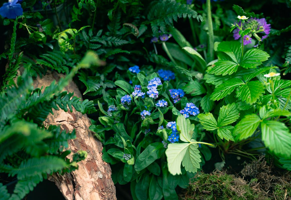 gartencenter-seebauer-shooting-april23-der-wald-zuhause-VZ-4