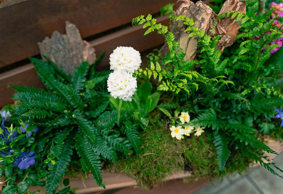 gartencenter-seebauer-shooting-april23-der-wald-zuhause-VZ-9