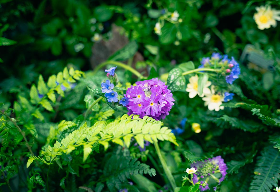 gartencenter-seebauer-shooting-april23-der-wald-zuhause-VZ-5