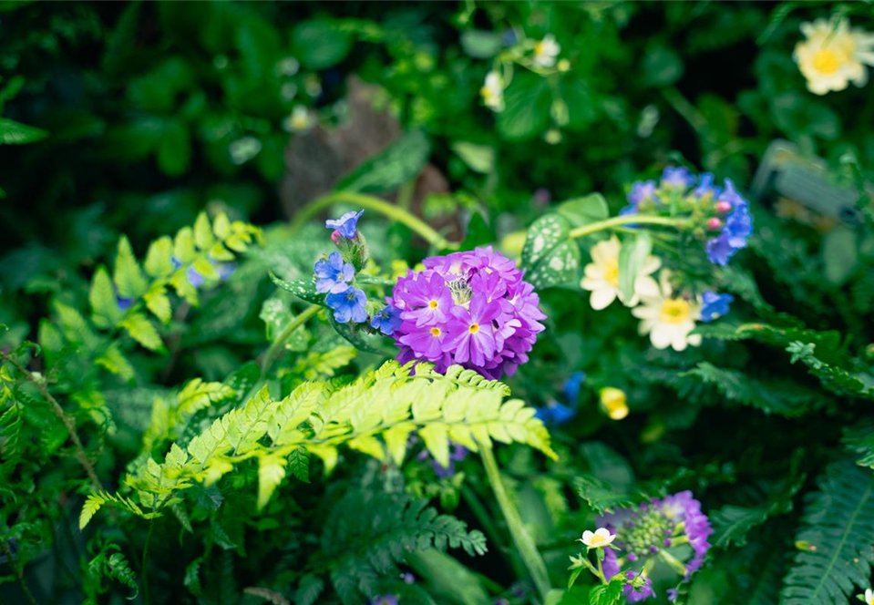 gartencenter-seebauer-shooting-april23-der-wald-zuhause-VZ-5.jpg