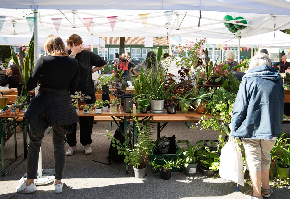 21.09.2024_Pflanzenflohmarkt_0846