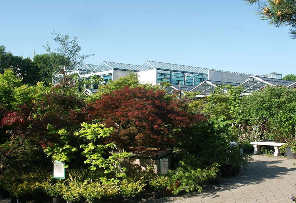 Baumschule Acer mit Blick auf Parkhaus