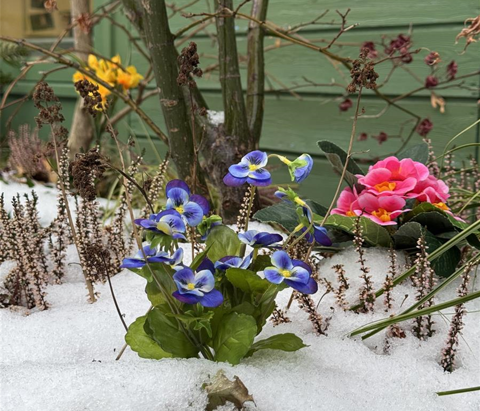 IMG_0766.jpeg IMG_0766.jpeg